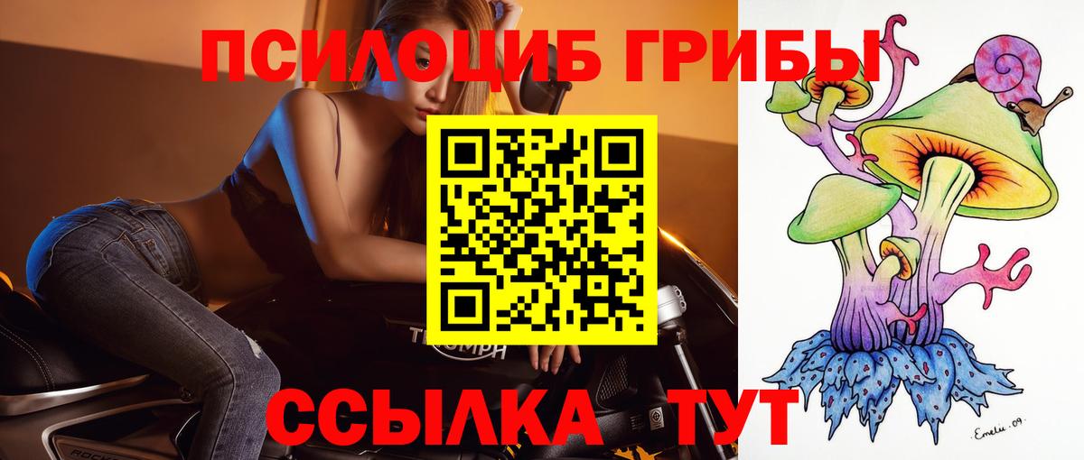 Псилоцибиновые грибы мицелий Фрязино